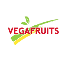 Logo Vegafruit